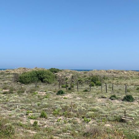 Mon Petit Paradis, Vue Sur Dunes Et Mer, Acces Direct Plage Robinson, Terrasse, Parking Prive, Tres Ressourcant, A Marseillan Plage Exteriör bild