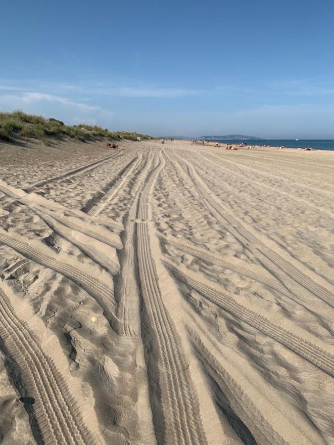 Mon Petit Paradis, Vue Sur Dunes Et Mer, Acces Direct Plage Robinson, Terrasse, Parking Prive, Tres Ressourcant, A Marseillan Plage Exteriör bild